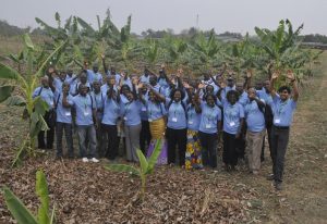 Picture of Alliance members during a tour of IITA banana fields