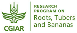CGIAR Research Program on Roots Tubers and Bananas green logo_260_opt