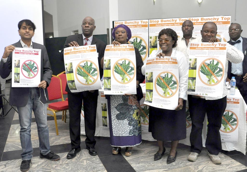 Picture of The ‘Stop Bunchy Top’ campaign was flagged off by Hon. Ibironke Sokefun, Agriculural Commissioner of Ogun State, Nigeria.
