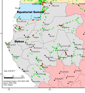 Fig 1. Map of BBTD distribution in Gabon as per the surveys conducted in 2015-16 (Source: IITA)