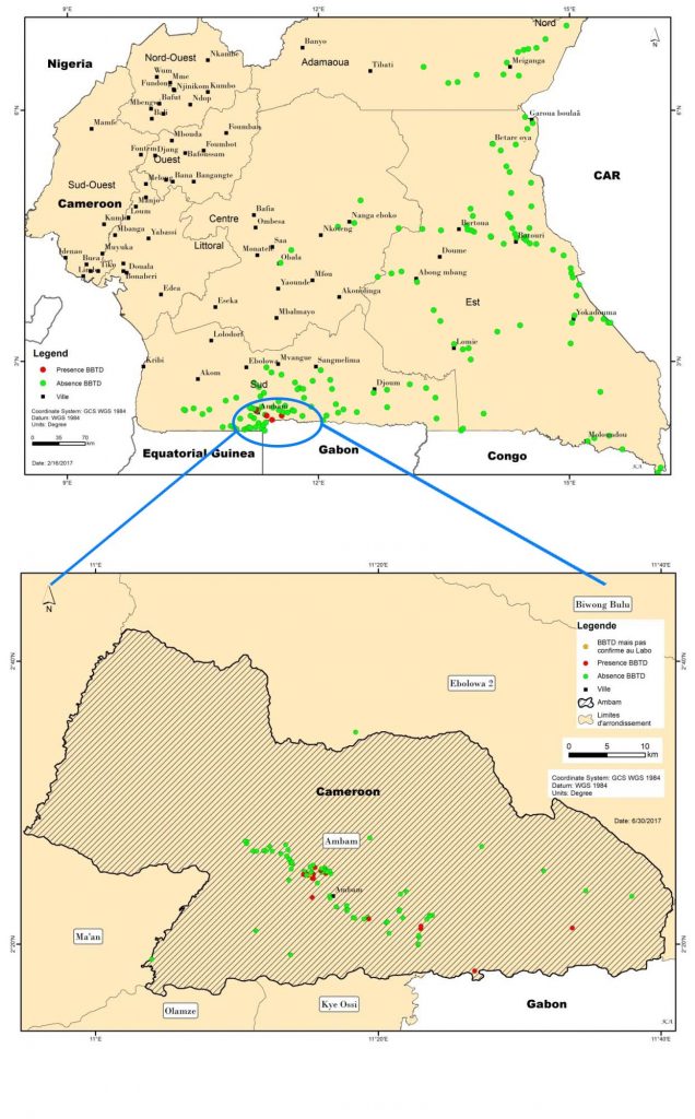 Fig 1. Distribution of BBTV in Cameroon (situation as of 2017)