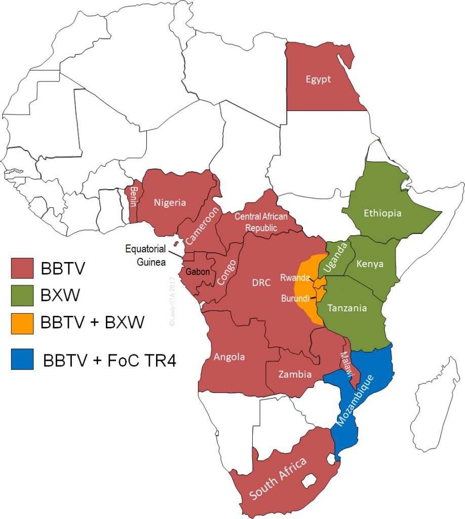 Fig 1. Country-wise distribution of three emerging disease threats to banana and plantain in Africa as of 2017.