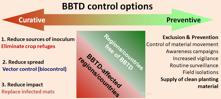 Fig 2. Preventive and curative control options for mitigating BBTD impact in Africa