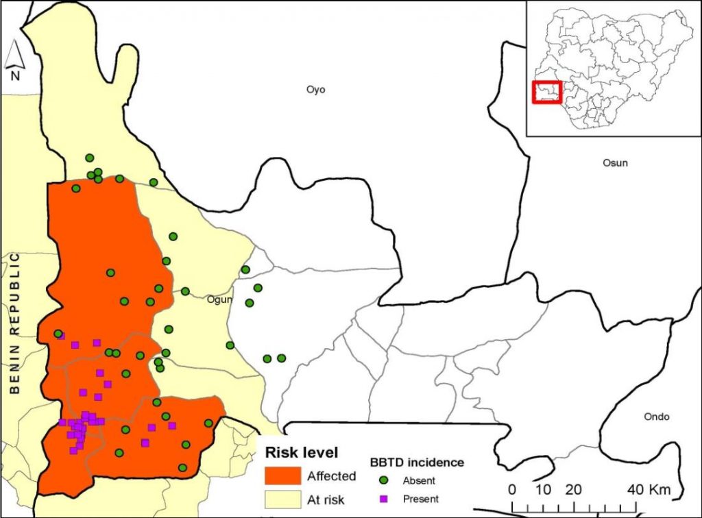 Figure 1. Map of BBTD distribution in Nigeria 2020. The disease is localized only in the parts shaded in orange and the areas marked in yellow are identified as high-risk area.