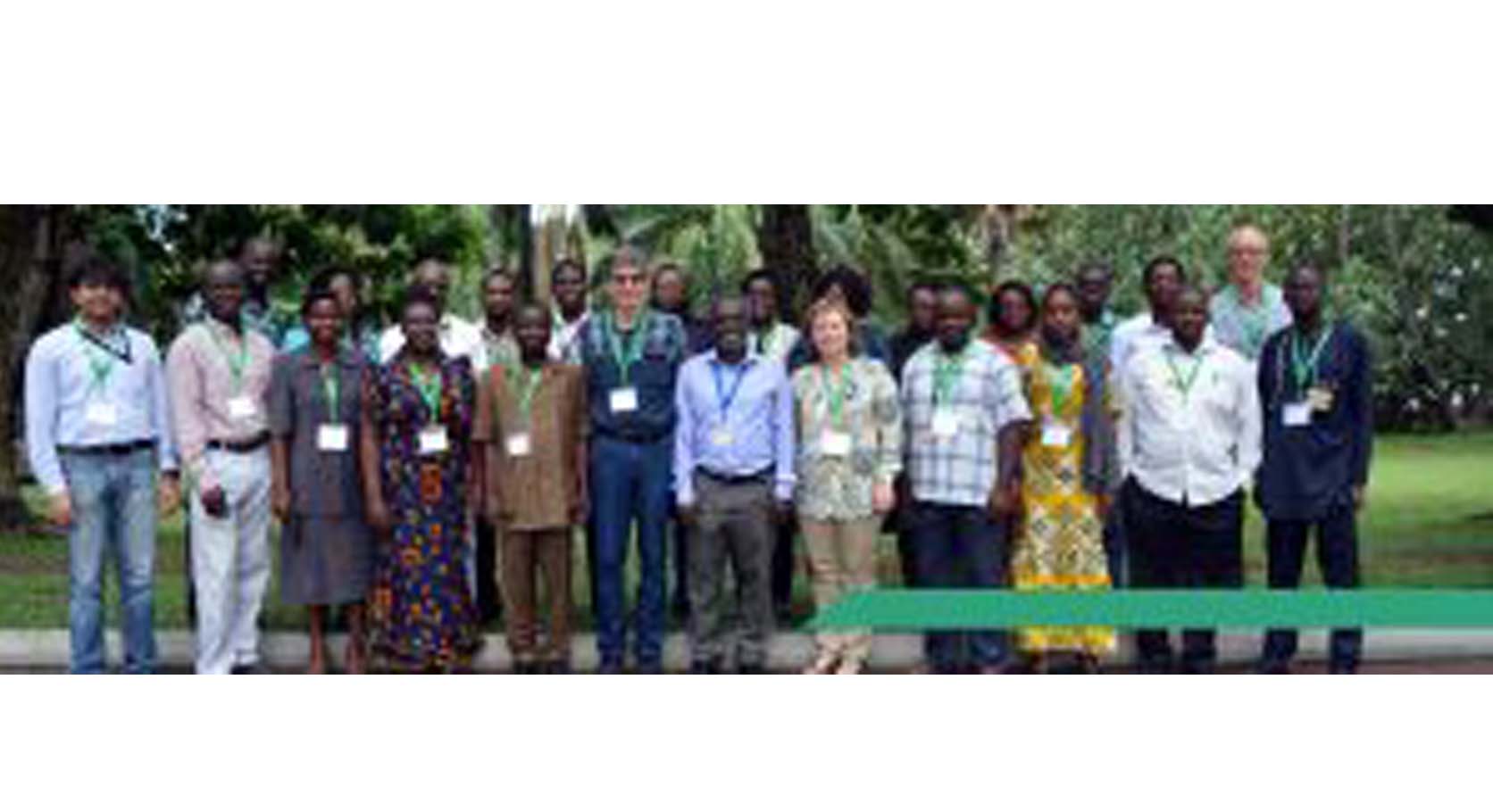 Banana Bunchy Top Disease Alliance