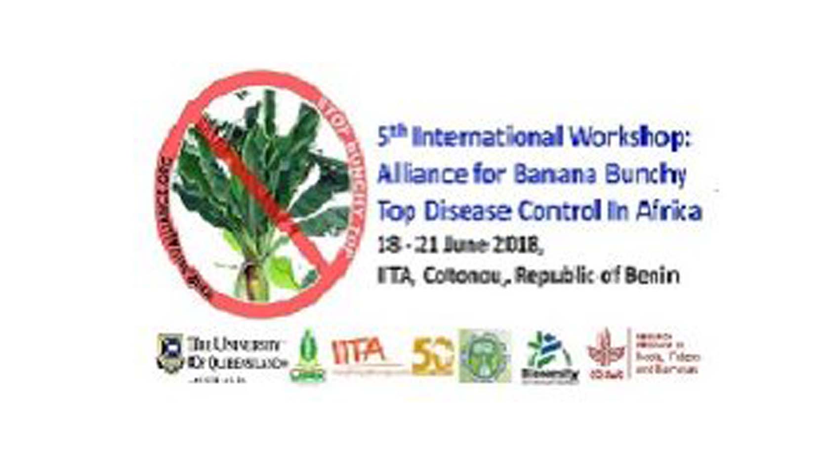 Banana Bunchy Top Disease Alliance