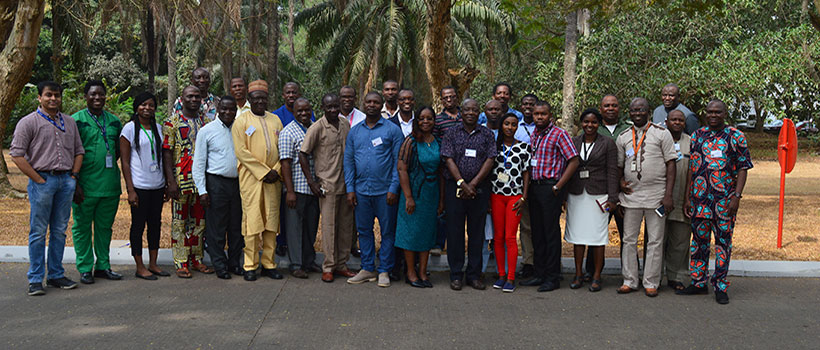 Banana Bunchy Top Disease Alliance