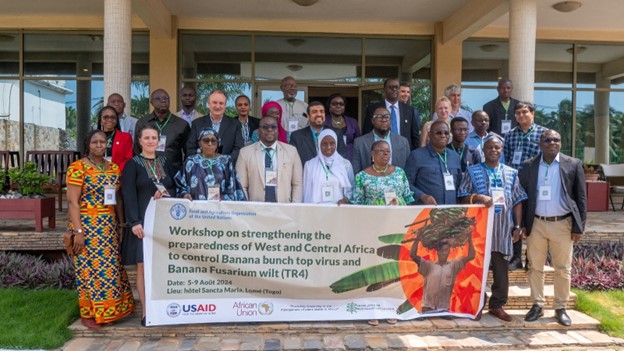 Banana Bunchy Top Disease Alliance